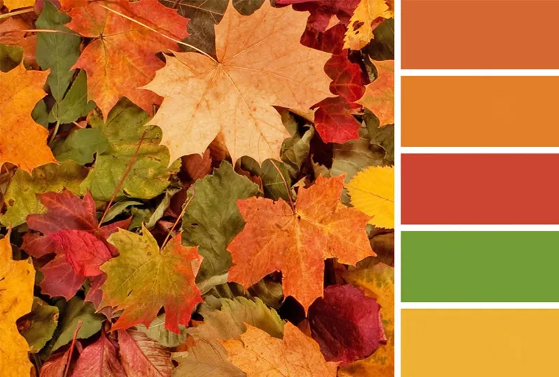 دکوراسیون پاییزی منزل