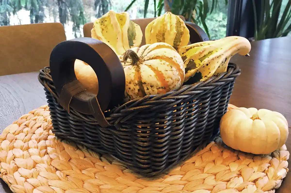 دکور پاییزی